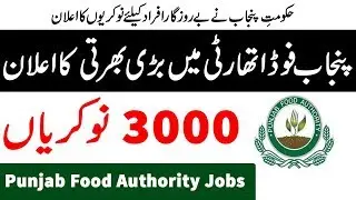 Jobs In Punjab Food Authority 2019- Upcoming Jobs  2019
