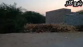 saraiki wasba(3)