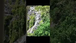 Quick look at the Kuranda Scenic Rail/Skyrail Cairns #train #travel #automobile