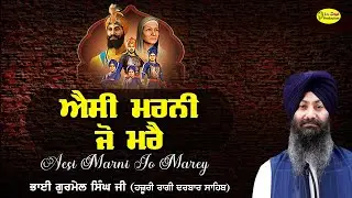 ਐਸੀ ਮਰਨੀ ਜੋ ਮਰੈ  Bhai Gurmail Singh Ji  Hazoori Ragi