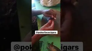 #How to #roll a #leaf cone #blunt.