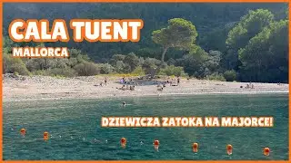 CALA TUENT NA MAJORCE - DZIEWICZA ZATOKA