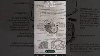 zoology practical endocrinology practical display of gonads semester 4