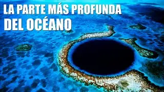 LA FOSA DE LAS MARIANAS: LA PARTE M&Aacute;S PROFUNDA DEL OCEANO