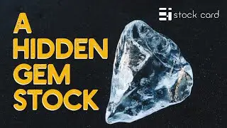 April 30th, 2021 - A new hidden gem stock
