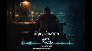 สัญญาฮักสลาย | เพลงอกหักของคนที่ให้ใจไปหมด