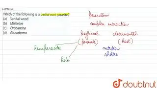 Which of the following is a partial root parasite ?  | 12 | ORGANISMS AND POPULATION | BIOLOGY |...