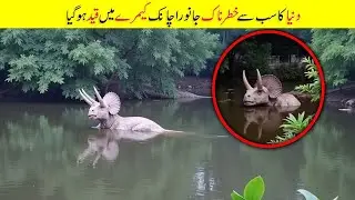 15 Extinct Animals Caught ALIVE On Camera &ndash; You Won&rsquo;t Believe #7! | Facts in Urdu