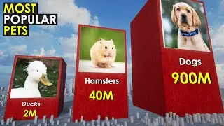 Most Popular Pets in the World - Top 50