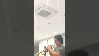 concerto de trompete NERUDA!#classic #trumpet #concert #orquestra #solo #music