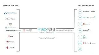 How Flexera&rsquo;s curated IT data fuels confident business decisions