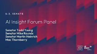 AI Insight Forum