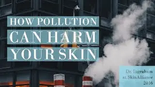 How Pollution Harms Your Skin