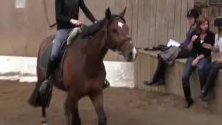 Sara rytterm&aelig;rkepr&oslash;ve 4  p&aring; Zinniz juni 2011 Ballerup Rideklub