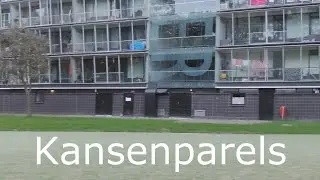 111 Kansenparels ~ Misdefinitie