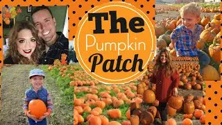 VISITING THE PUMPKIN PATCH WITH KIDS