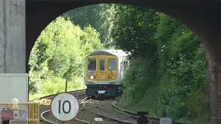 Branch Line Society Thameslink Class 319 Farewell Rail Tour - 04/06/17