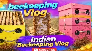 Beekeepers life #beekeepar #madhumkhi #purehoney #honey #india #tonk #kota #vlog #workerbee #india 