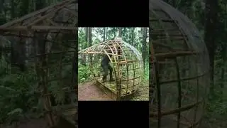 #PrimitiveShelter  #JungleSurvival  #NaturalShelter  #OffGridLife  #BushcraftBuild  #HutBuilding