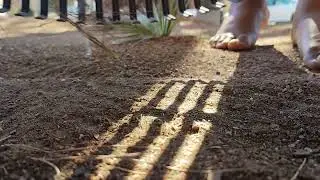 Rake the Yard with Me