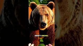 I Thought This Bear Was About to Attack Me .. #animals #animalshorts  #animalrescue