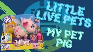 Little Live Pets My Pet Pig Unboxing Review | The Upside Down Robot