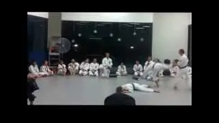 Sensei Oliver Demonstrates During Testing