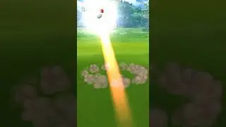 Shiny ✨ Treecko ✨ pokemon was caught / Pokemon go rider