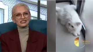 SVETASMYLE, O SEARA PERFECTA 25.09.2025