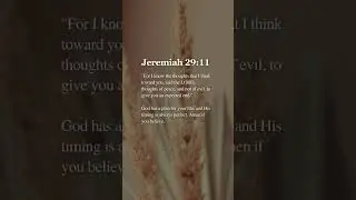 #shorts #short #shortvideo #shortsvideo #bible #dailybible #verseoftheday #jesus #god #love #quotes