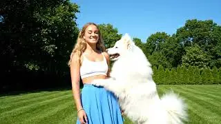TitleThe Relativity of Cute Reptiles Funny Talking Lizard and Woman Comedy