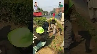 Horticulture Work by PHA Lahore | Green & Clean Lahore Initiative