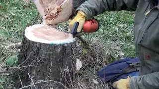 Forestry training playlist promo. NPTC Felling and Processing Trees
