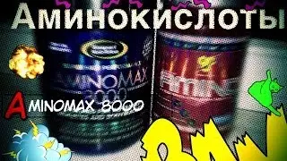 Аминокислоты: какие выбрать и что лучше ?(Amino X vs AminoMAX 8000)