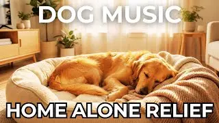 10 Hours of Calming Dog Music 🐶 Separation Anxiety Relief for Dogs Left Home Alone