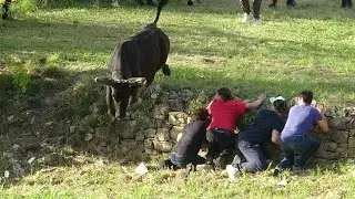 MAURESSARGUES LONGUE + ABRIVADO BANDIDO 20/04/25