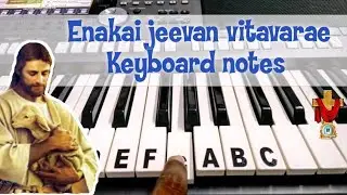 Enakai jeevan vitavarae keyboard notes | எனக்காய் ஜீவன் விட்டவரே | Right lead and left chords | 203