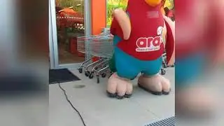 El pollo chévere Inaugurando el Ara de Palmar