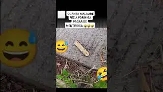 formiga mentirosa kkkk