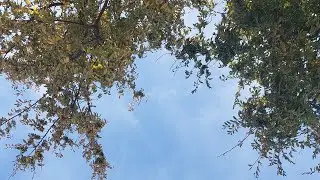 HAVE A DAY (2) - A BIPOLAR VLOG
