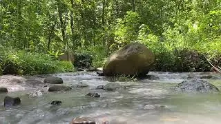 Nature's Ear Candy - 1Hour of Gentle Water Sounds - No music or Birdsong