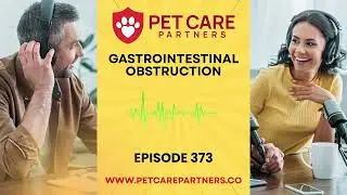 EP 373: Gastrointestinal Obstruction in Pets &ndash; Causes, Diagnosis & Treatment | Pet Care Partners