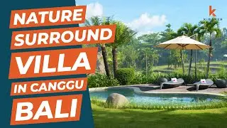 Surrounded by NATURE VILLA for lease in Canggu, Bali