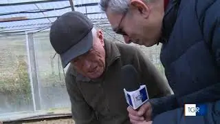 Amandola, a 95 anni guida il trattore e si paga i contributi