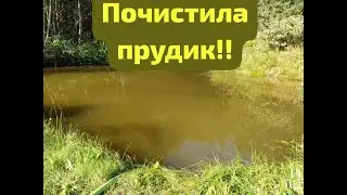 Чищу пруд. Сочинение: как я провожу лето!! )))
