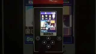 burnit Pell eco 35 how to properly connect a room thermostat to a Pell burner