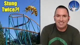 Sean Flaharty Talks About Getting Stung by a Bee on a Roller Coaster! | Coaster Time Moments