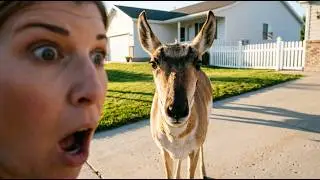 You Asked, I Answered! Your Top&nbsp;Questions&nbsp;in&nbsp;Moving&nbsp;to&nbsp;Casper, Wyoming!