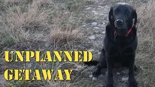 You Won't Believe What We Saw on Our Walk!