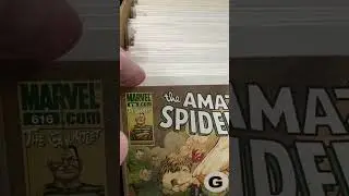Amazing Spider-Man Comic Book Hunting